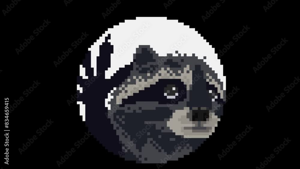 Pedro raccoon, pixel art meme animation Pedro raccoon, pixel art meme animation