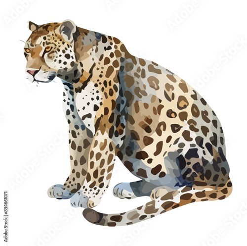 Watercolor clipart vector of a leopard  isolated on a white background  leopard vector  Illustration painting  Graphic logo  drawing design art