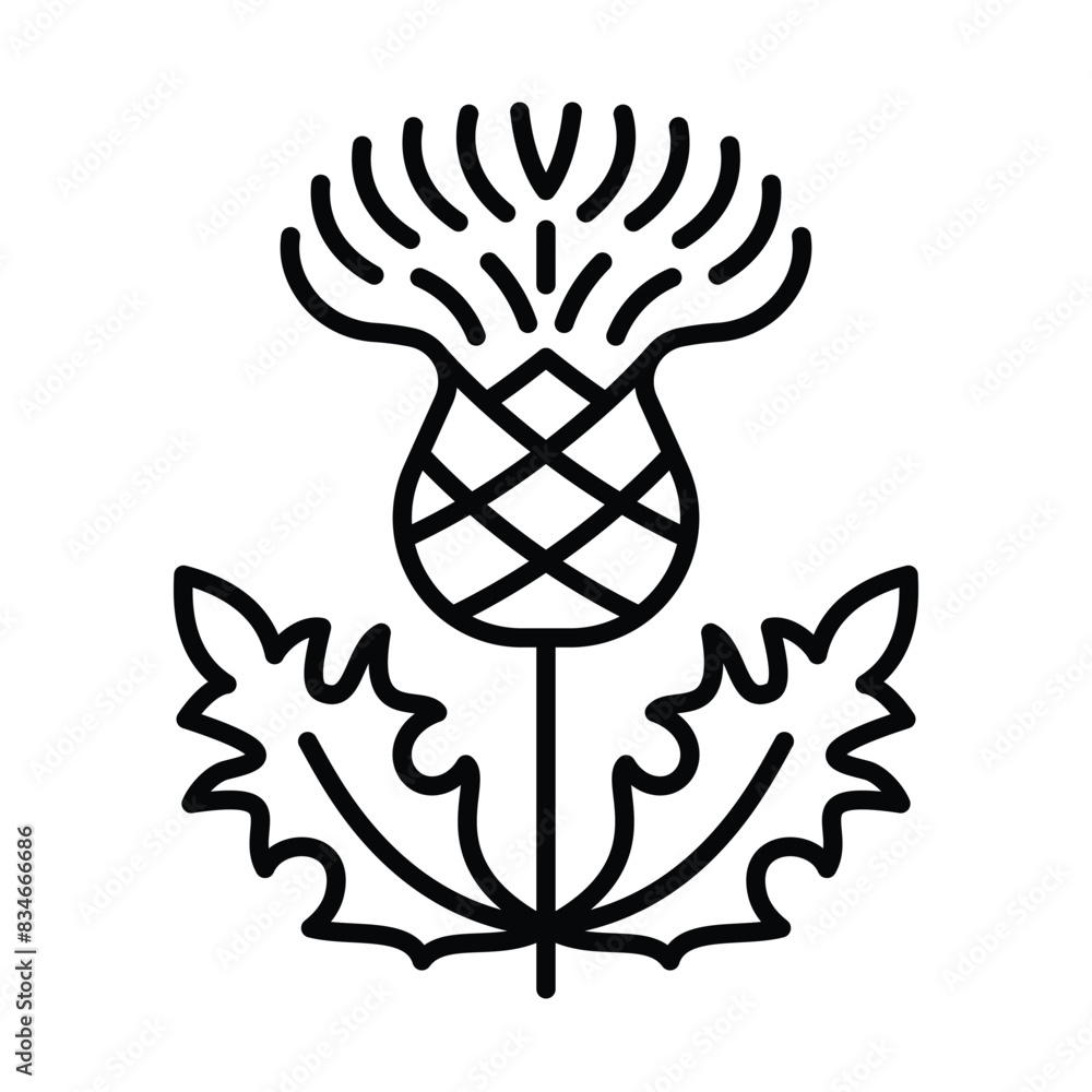 Obraz na plátně Thistle icon