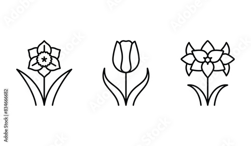 Narcissus, tulip, amaryllis - bulbous flowers set. Flowering decorative plants in minimalist style. Botanical icon set for a label, seed shop, supplements, extracts. Editable thin line