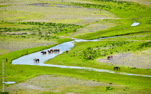 The lush Orkhon Valley and the herds of horses and sheep gathering by the pristine river