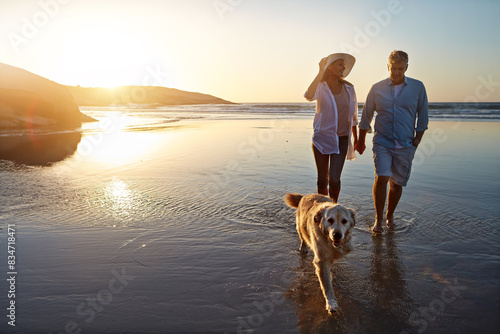 Happy, couple and beach with dog at sunset for outdoor travel, summer holiday and vacation together. Man, woman and holding hands with furry pet by ocean for trust, love and adventure in Sweden photo