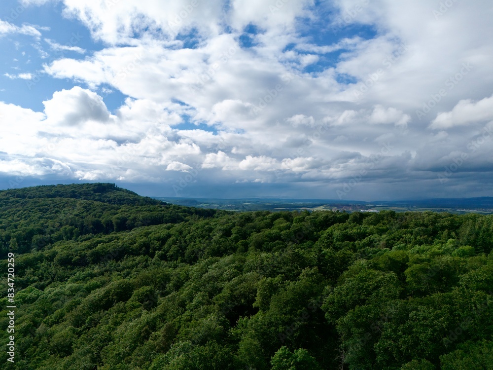 Obraz premium Drone view of forest and sky