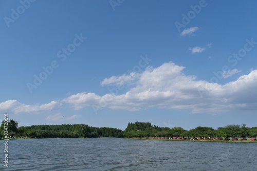 水元公園　Mizumoto Park photo