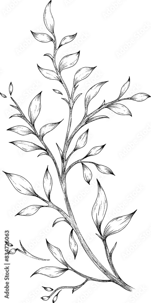 Fototapeta premium Hand drawn leaves on branch
