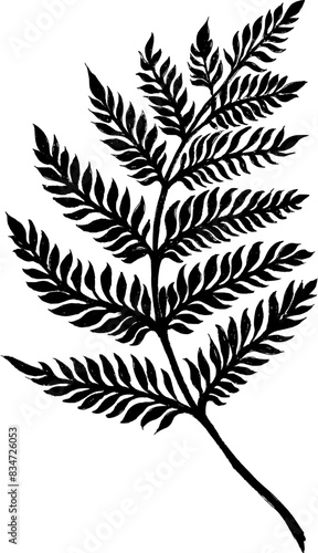 hand drawn fern