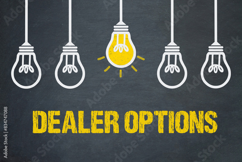 Dealer Options	 photo