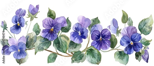 Violets  Watercolor Floral Border  watercolor illustration  isolated on white background