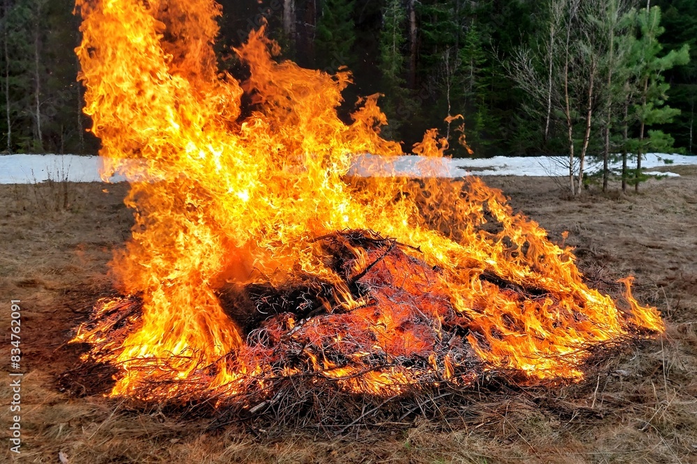 Blazing fire of scrub heap on a dry meadow