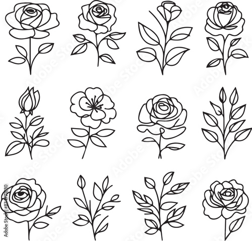 One line drawing Set of a decorative fresh blossoming rose silhouette with leaves isolated on white background hand drawn sketch. Vector stock illustration