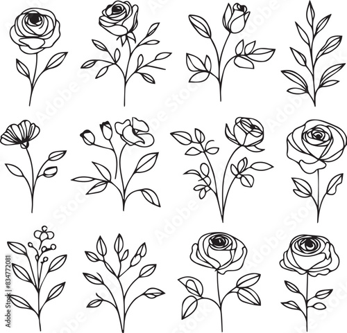 One line drawing Set of a decorative fresh blossoming rose silhouette with leaves isolated on white background hand drawn sketch. Vector stock illustration