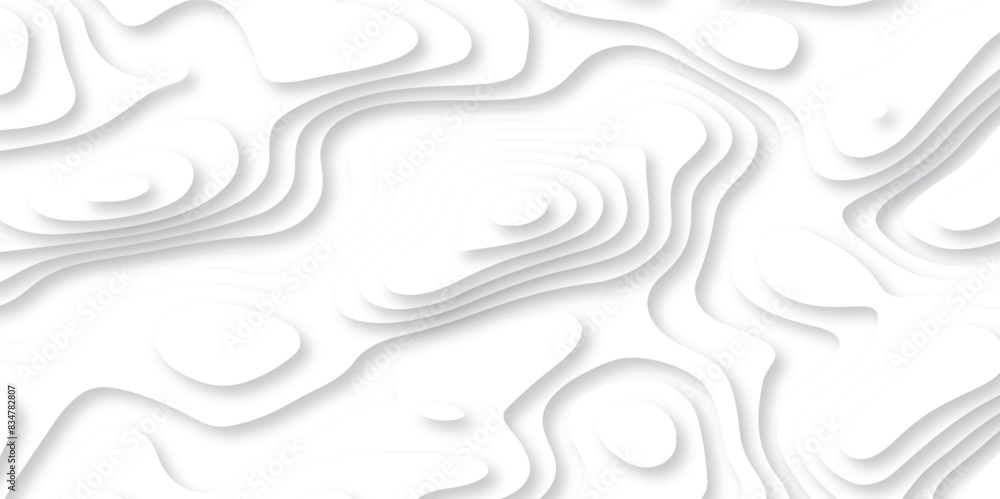 Vector 3D abstract background with paper cut shapes. paper cut topography vector art background banner texture. White wave paper curved reliefs abstract background. Realistic papercut decoration layer Vector 3D abstract background with paper cut shapes. paper cut topography vector art background banner texture. White wave paper curved reliefs abstract background. Realistic papercut decoration layer