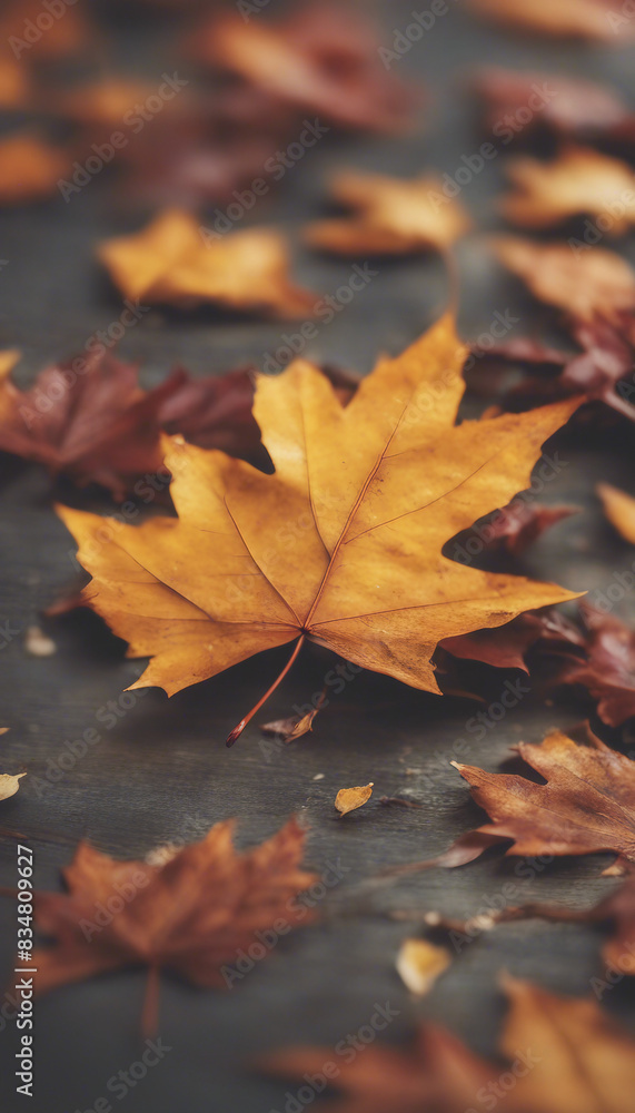 Autumn leaves lying on the floor Autumn leaves lying on the floor