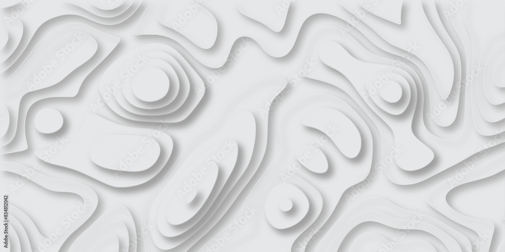 Abstract design with black and white abstract papercut and multi-layer cutout geometric pattern on vector Topographic canyon geometric map relief texture with curved layers beautiful design. Abstract design with black and white abstract papercut and multi-layer cutout geometric pattern on vector Topographic canyon geometric map relief texture with curved layers beautiful design.
