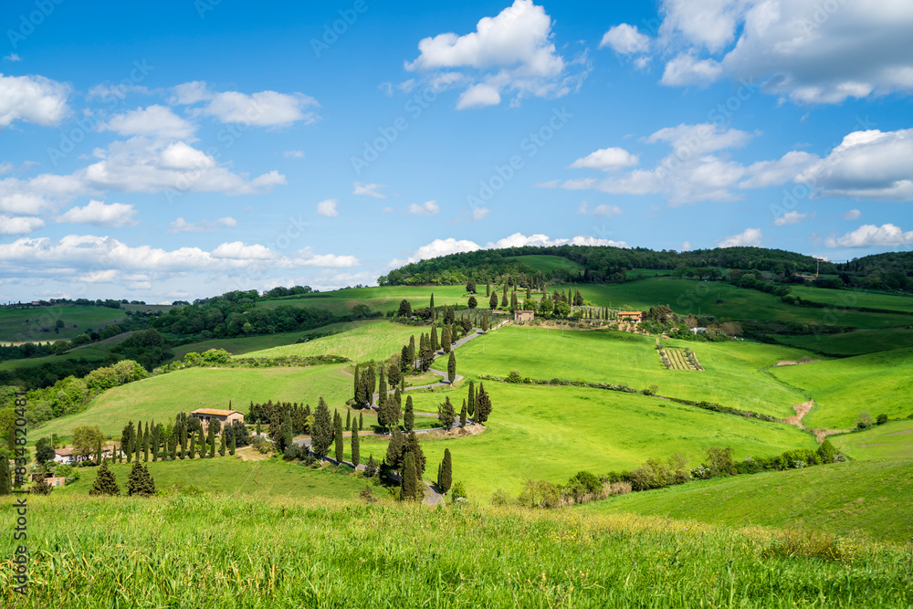Obraz premium Monticchiello, Italy - April 19, 2024 : Monticchiello Cypress Road in Tuscany of Italy