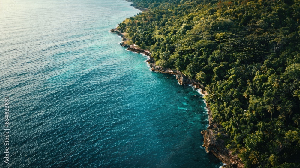 A breathtaking aerial view of a cliff above the ocean with stunning natural landscape, water merging with the sky, and terrestrial plants lining the beach AIG50