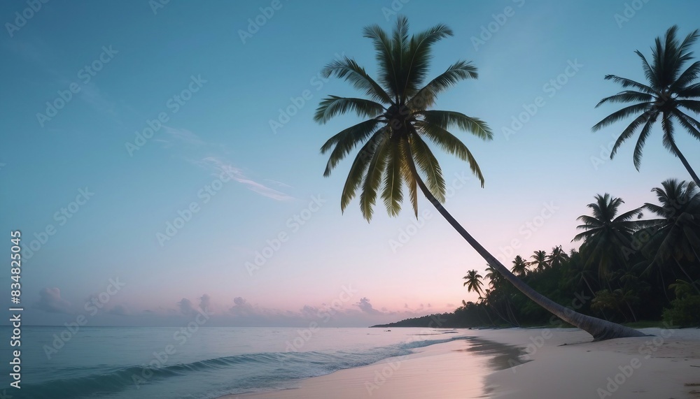 tall coconut tree with a single branch reaching to the sea on the beach in a tropical location, side view tall coconut tree with a single branch reaching to the sea on the beach in a tropical location, side view