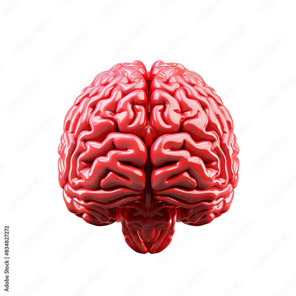 a red brain with white background a red brain with white background