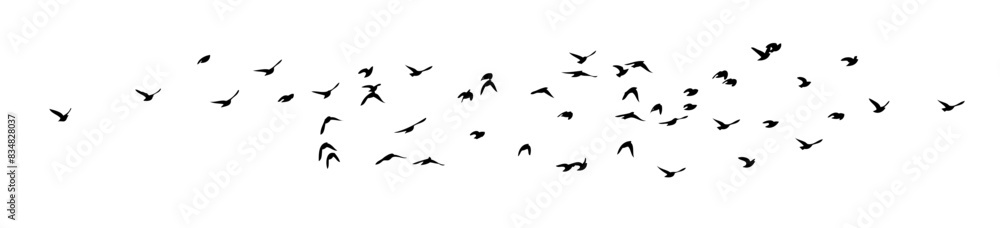 Flying birds silhouette flock. Not AI, Free birds abstraction . Horizontal background. Vector illustration