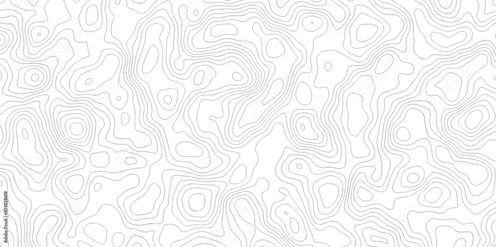 Black and white wave Seamless line. Vector geographic contour map. Topography map background. Topography relief. White wave paper curved reliefs abstract. Topographic map patterns,topography line map.