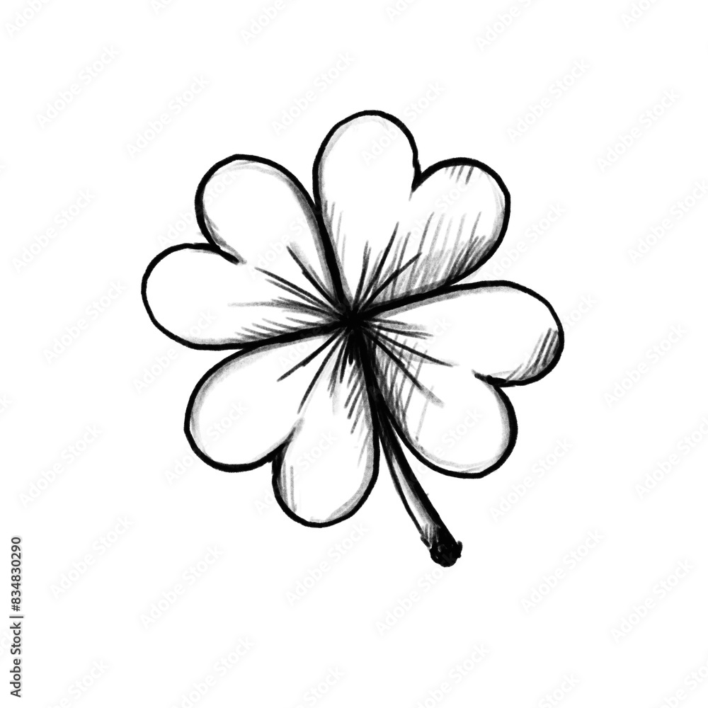 shamrock, cloverleaf, hand drawn pencil drawing, transparent PNG, illustration shamrock, cloverleaf, hand drawn pencil drawing, transparent PNG, illustration