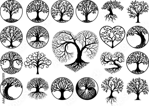 Tree of Life Root Vector