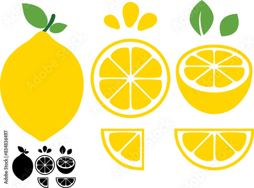 Lemon Slice Set of Vector