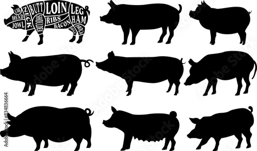 Pig Farm Animal Set of Vector