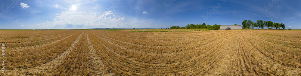 agriculture field 360° backplate