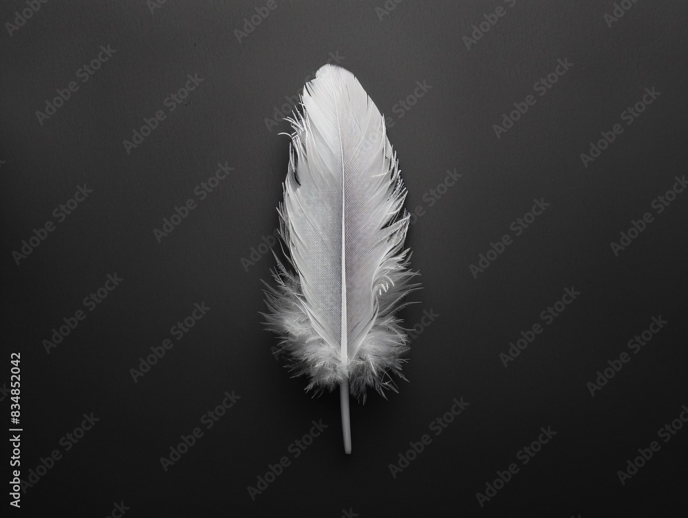 Single arafed feather black surface white background Single arafed feather black surface white background