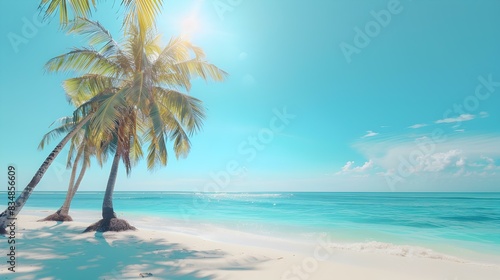 tropical beach palm trees