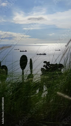 view of the sea from the hill with weed grass in the foreground in the Bukit Lampu area, Teluk Bayur, Padang city photo