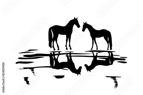 Horses and reflections in water, vector illustration
