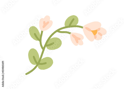 Field flower. Gentle floral branch. Blooming plant with blossomed bud and leaves. Spring wildflower stem. Beautiful botanical design element. Flat vector illustration isolated on white background