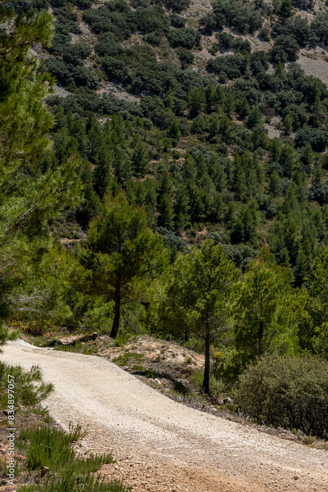 Obraz premium Gravel road through mountain range - stock photo