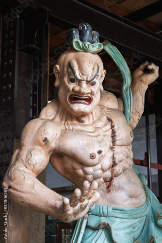 Nio statue of Gangaramaya Temple. Sri Lanka photo
