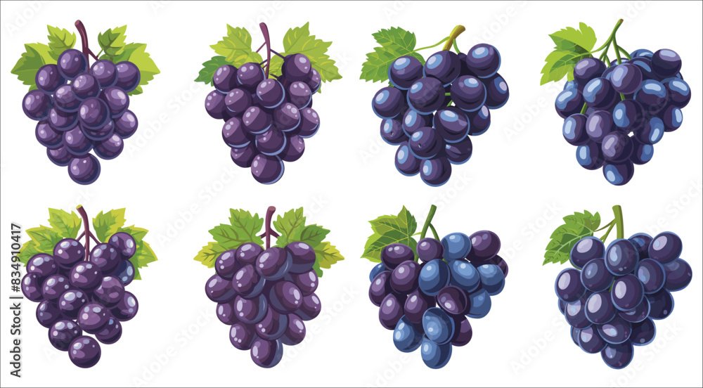 Bunch of blue grapes with green leaves, Bunch of grapes with leaf, Bunches of grapes set, Vector grape icon, Grapes fresh fruit icon vector, Fresh fruit, Fruit, Green, Grape, Bunch Bunch of blue grapes with green leaves, Bunch of grapes with leaf, Bunches of grapes set, Vector grape icon, Grapes fresh fruit icon vector, Fresh fruit, Fruit, Green, Grape, Bunch