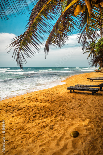 Ripe coconut on the sand of beautiful tropical beach © Volodymyr Shevchuk
