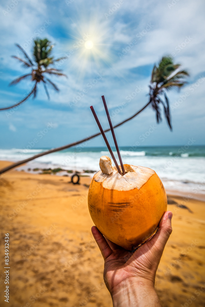 Sweet ripe yellow drinking coconut in hand on the beach Sweet ripe yellow drinking coconut in hand on the beach