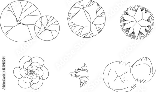 Vector illustration sketch design icon logo notation plant tree layout seen from above