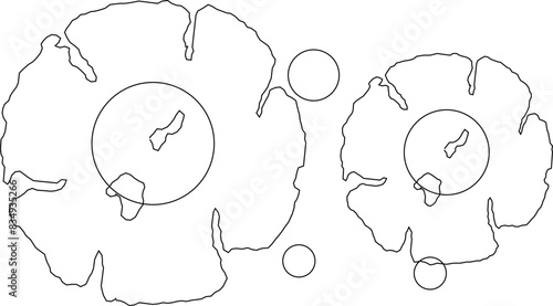 Vector illustration sketch design icon logo notation plant tree layout seen from above