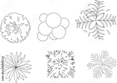 Vector illustration sketch design icon logo notation plant tree layout seen from above
