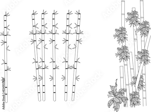 Vector illustration sketch of unique bamboo tree plant notation logo icon design seen from the front for garden greenery decoration