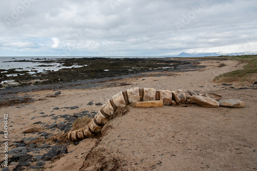 Skeleton of a beached whale