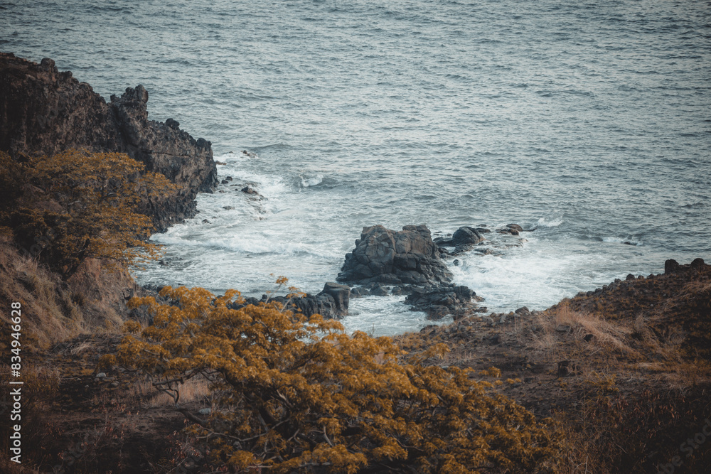 Obraz premium waves crashing on rocks