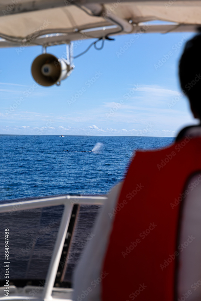 Obraz premium 知床ホエールウォッチングクルージング