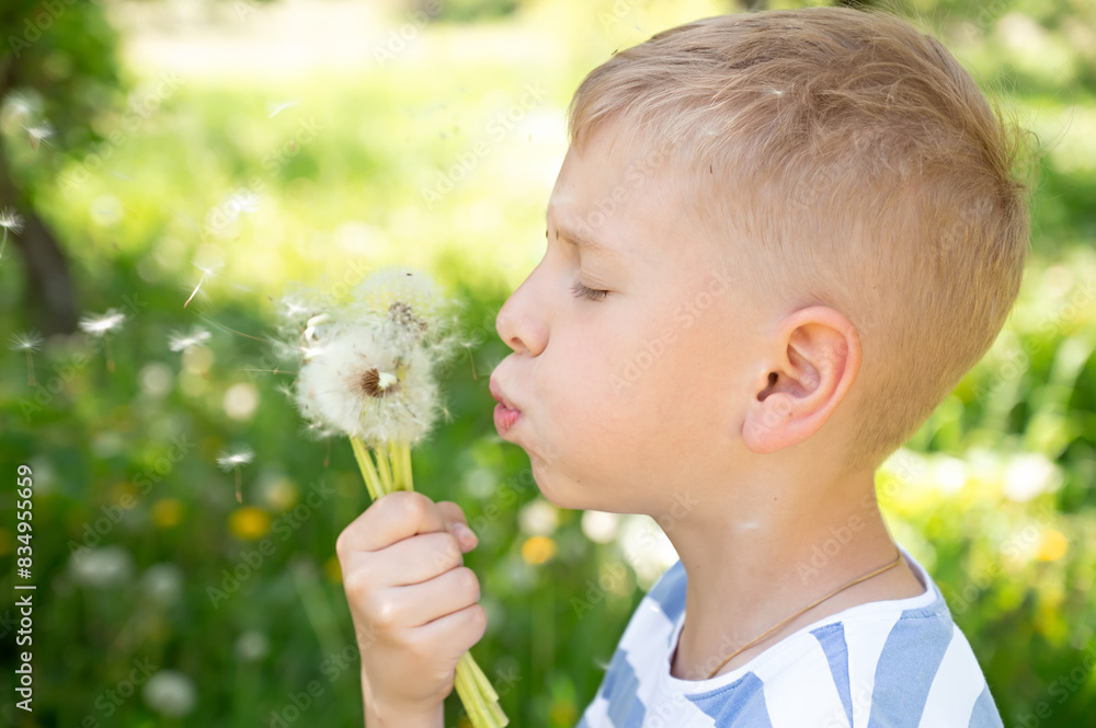 Cute little boy blowing dandelion seeds outdoors on summer day Cute little boy blowing dandelion seeds outdoors on summer day