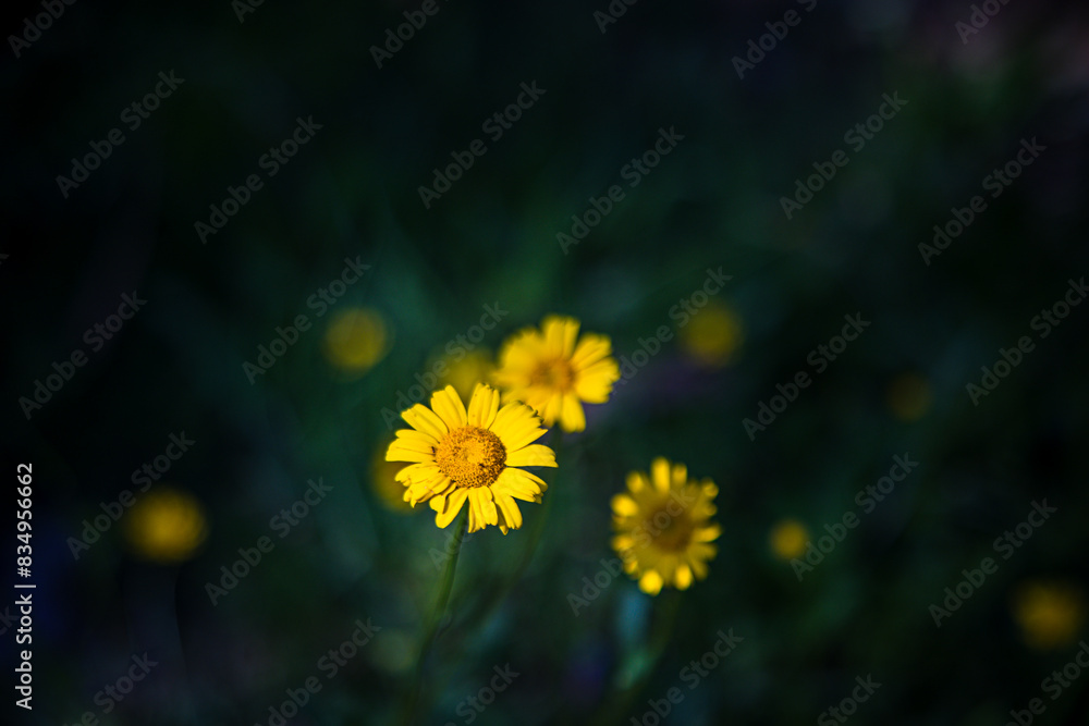 Blumen