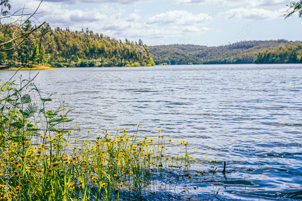 Park - Natur - see