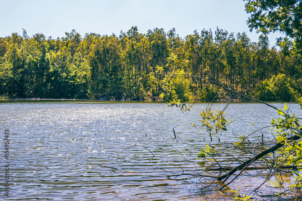 Park - Natur - see
